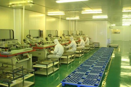 中共湛江市委十一屆十次全會工作報告要點 深化人力資源服務，規范職業中介活動，賦能高質量發展